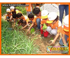world_environment_day_kalakriti_school_of_arts_7